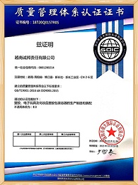 世邦塑胶-越南2020 ISO证书中文版